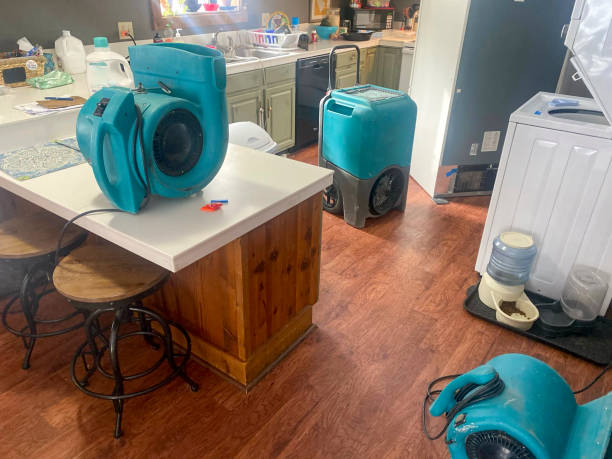 Best Water damage contractors near me  in Lowellville, OH
