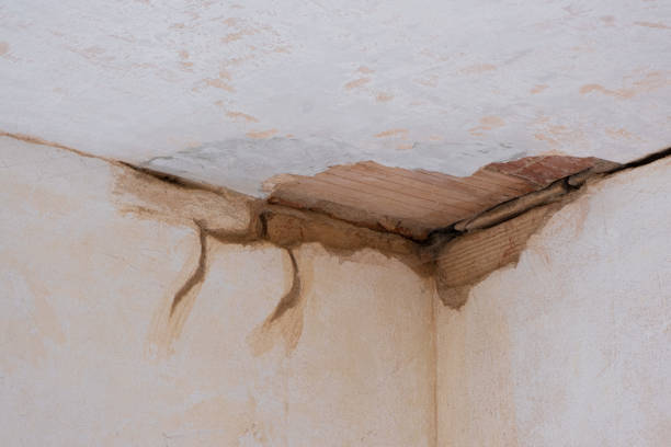 Best 24-hour water damage restoration  in Lowellville, OH