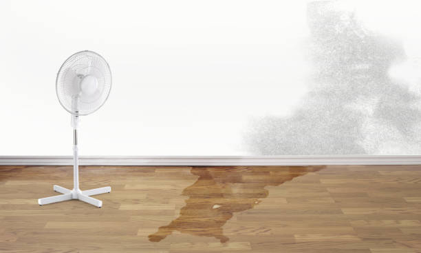 Best Ceiling water damage repair  in Lowellville, OH