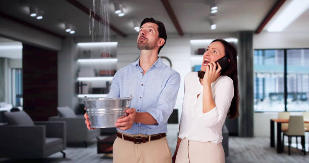 Best Water damage restoration near me  in Lowellville, OH